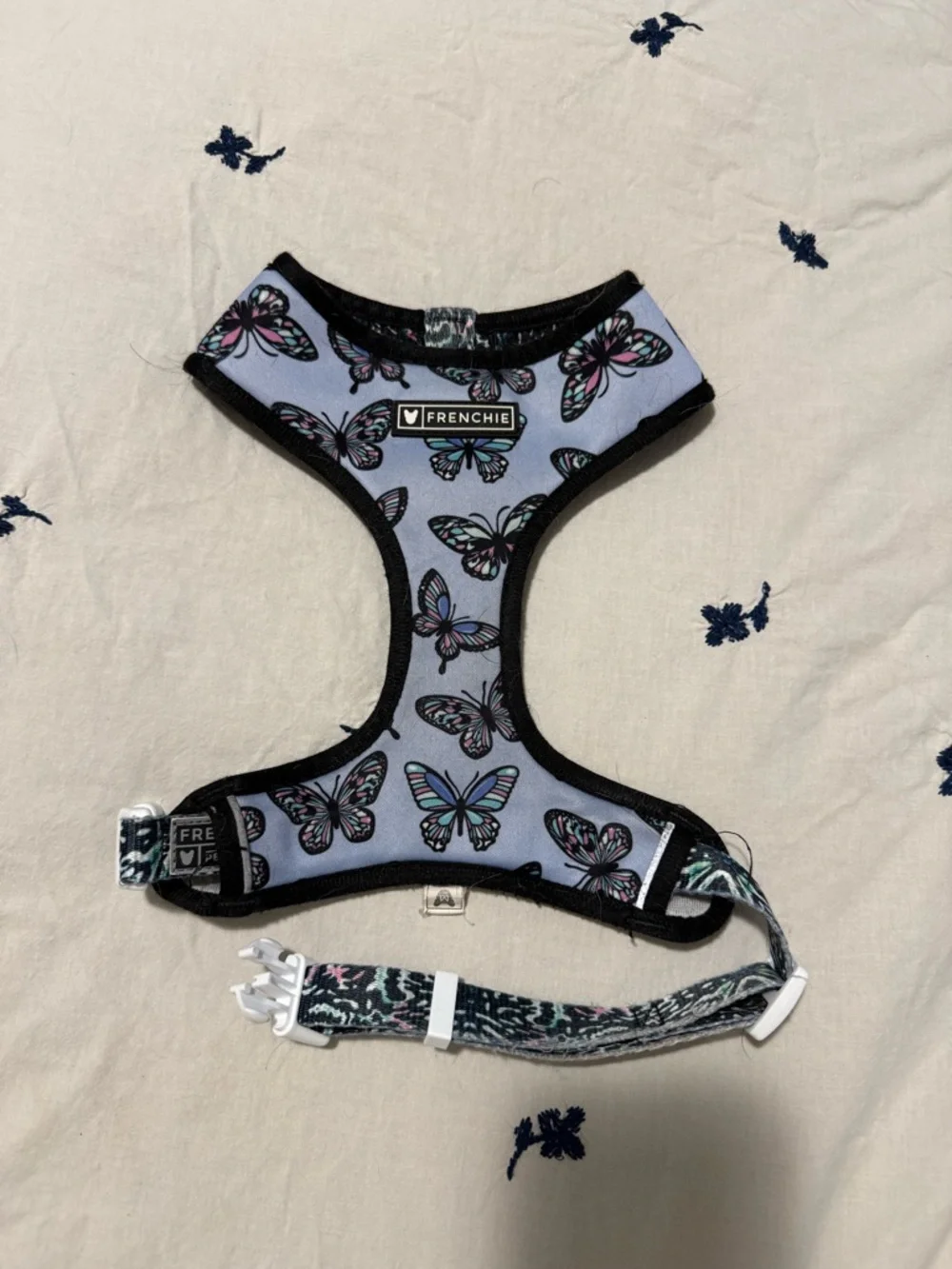 Two frenchie Harness bundle